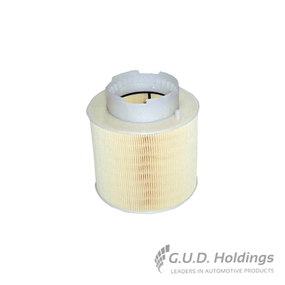 Air Filter (AG1375)