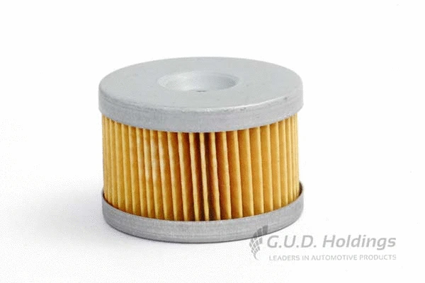 Fuel Filter (G579)