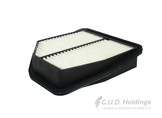 Air Filter (AG1597)