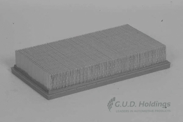 Air Filter (AG1024)