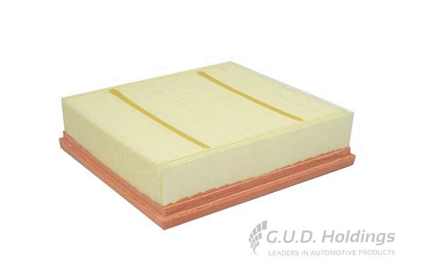 Air Filter (AG1561)