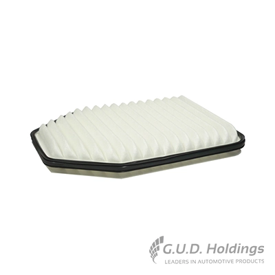 Air Filter (AG1570)