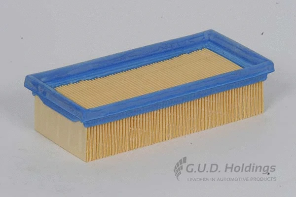 Air Filter (AG635)