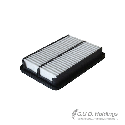 Air Filter (AG1116)