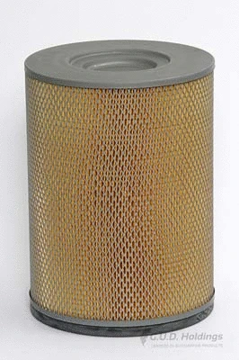 Air Filter (ADG546)