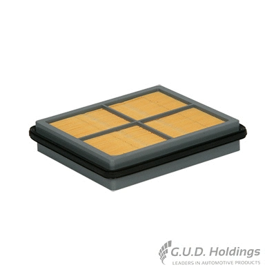 Air Filter (AG868)