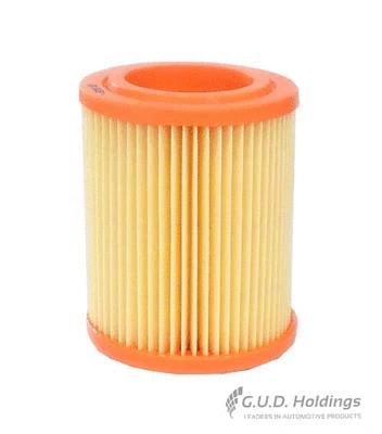 Air Filter (AG1439)
