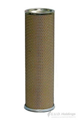 Secondary Air Filter (ADG1102)