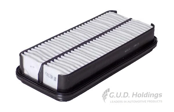 Air Filter (AG1743)