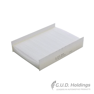 Filter, cabin air (AC173)