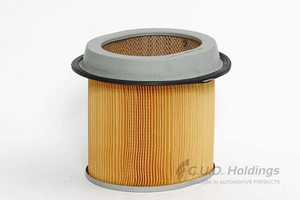 Air Filter (ADG844)