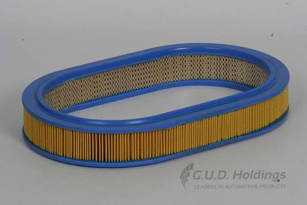 Air Filter (AG703)
