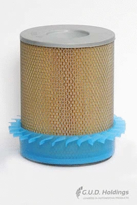 Air Filter (ADG343)