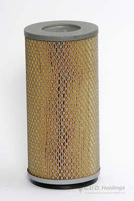 Air Filter (ADG923)