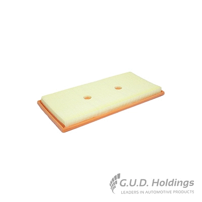 Air Filter (AG1507)