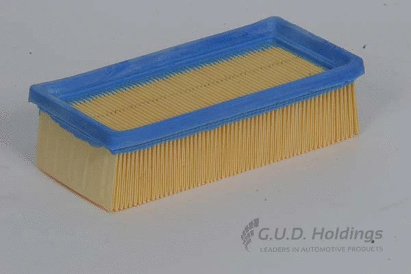 Air Filter (AG806)