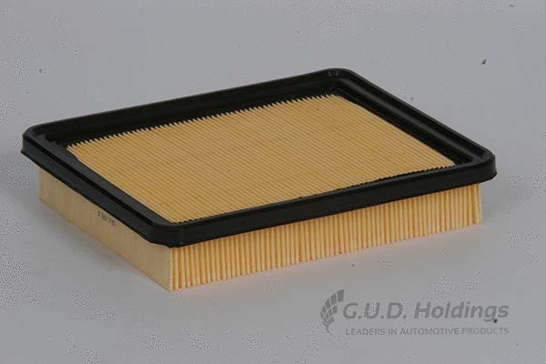 Air Filter (AG924)