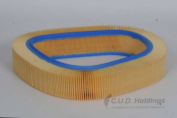 Air Filter (AG685)