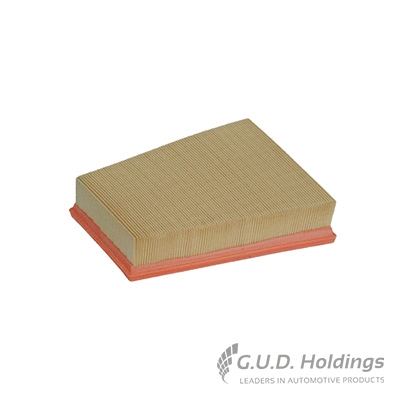 Air Filter (AG1368)
