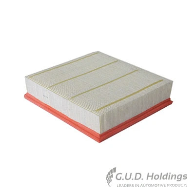 Air Filter (AG1591)