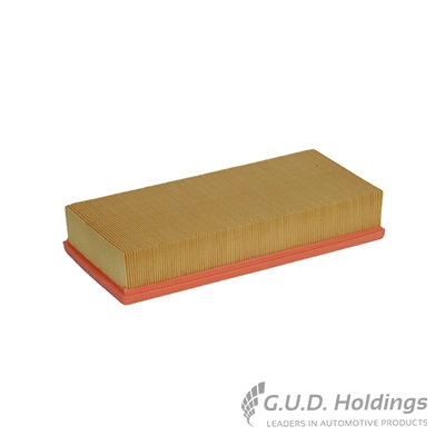Air Filter (AG1334)