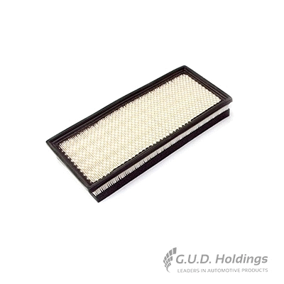 Air Filter (AG1478)