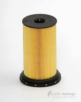 Fuel Filter (G1065)