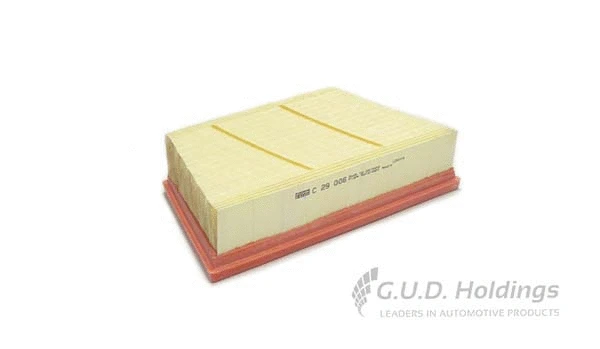 Air Filter (AG1548)