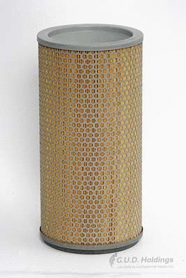Secondary Air Filter (ADG478)