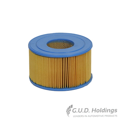 Air Filter (AG423)