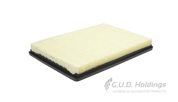 Air Filter (AG1576)