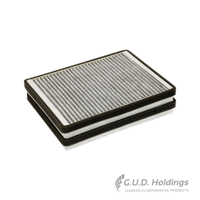 Filter, cabin air (AC19)