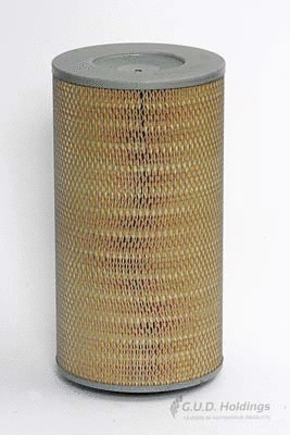 Air Filter (ADG516)