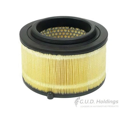 Air Filter (AG1405R)