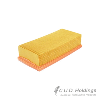 Air Filter (AG1471)