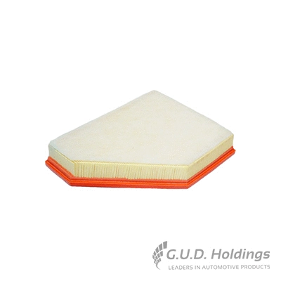 Air Filter (AG1412)