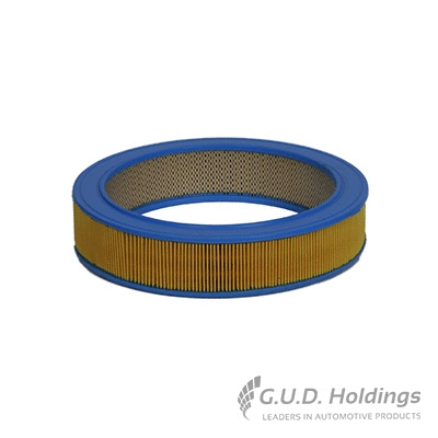 Air Filter (AG457)