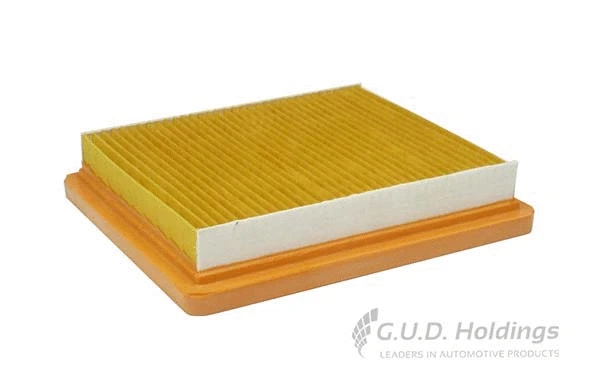 Air Filter (AG1516)