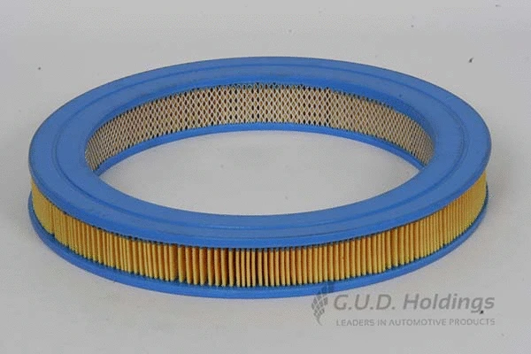 Air Filter (AG742)