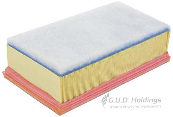Air Filter (AG1746)