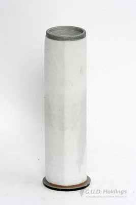 Secondary Air Filter (ADG699)