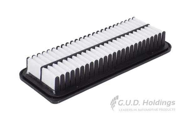 Air Filter (AG1551)
