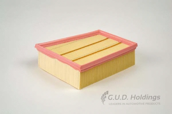 Air Filter (AG1793)