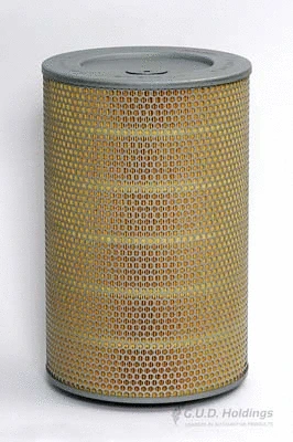 Air Filter (ADG794)