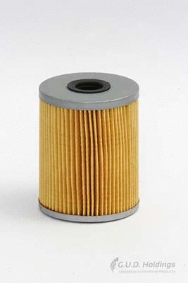 Oil Filter (G1025)