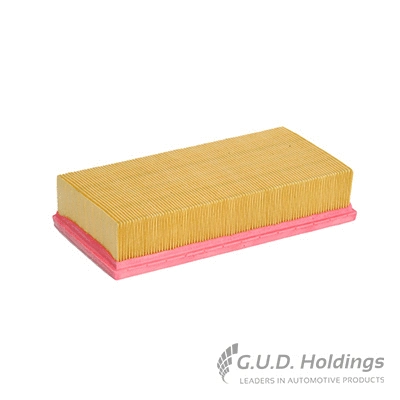 Air Filter (AG1423)