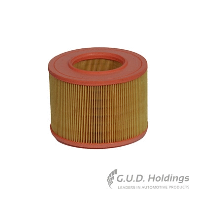 Air Filter (AG994)