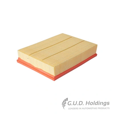 Air Filter (AG1339)