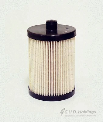 Fuel Filter (M100)