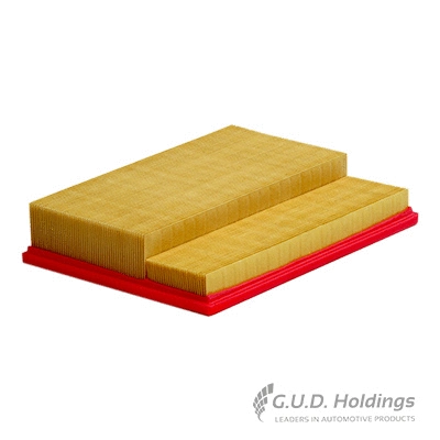 Air Filter (AG1089)